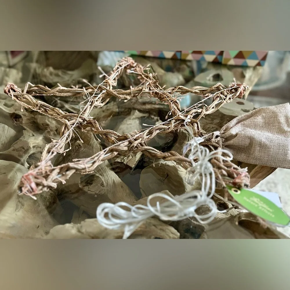 RARE TERRAIN NWT Stargazer Illuminated LED Vine Star